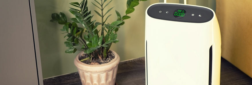 comment purifier l'air durablement